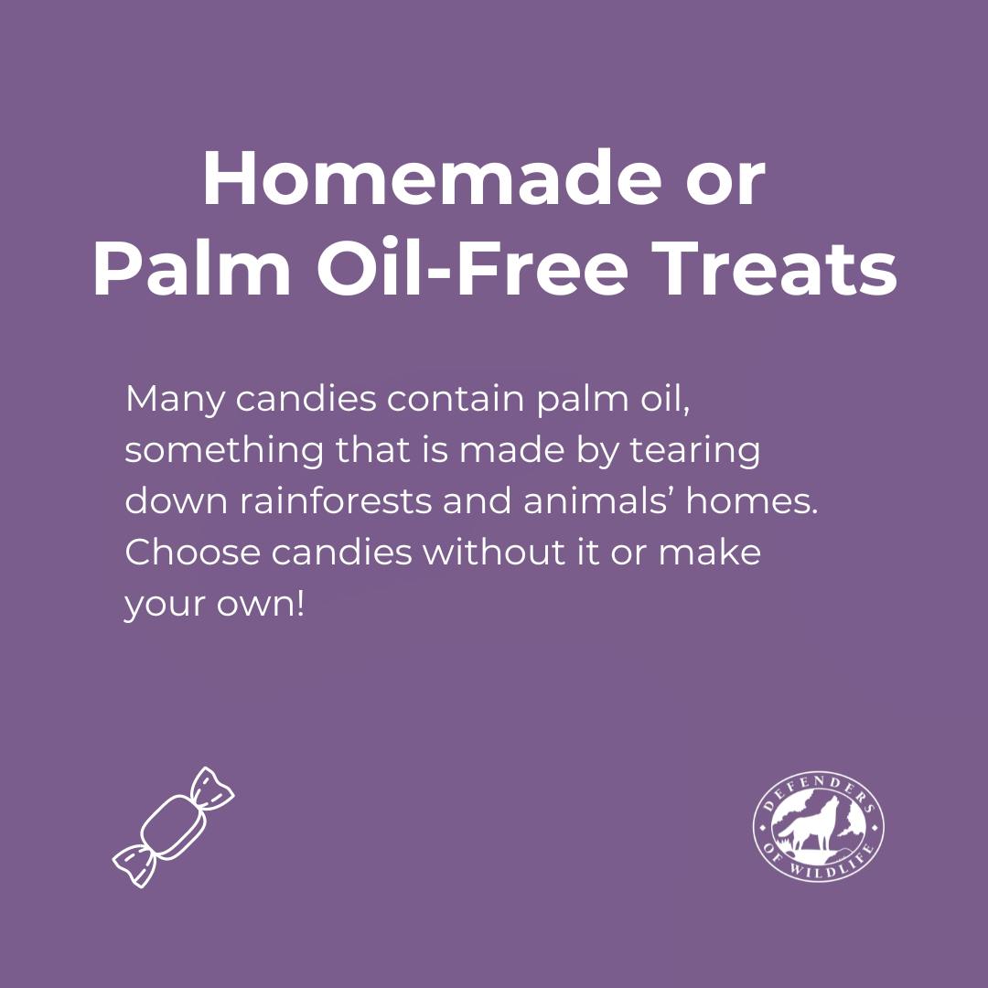Homemade or Palm Oil-Free Treats - Many candies contain palm oil, something that is made by tearing down rainforests and animals' homes. Choose candies without it or make your own!